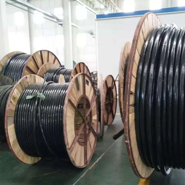 遵義分支電線電纜